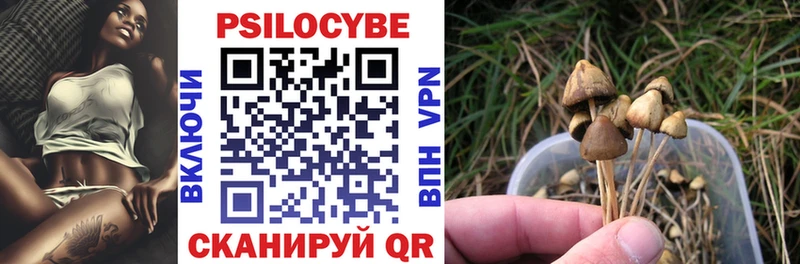 Галлюциногенные грибы Magic Shrooms  продажа наркотиков  Кувшиново 